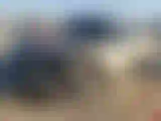 Vehicle Image- 2001 Chevrolet Silverado