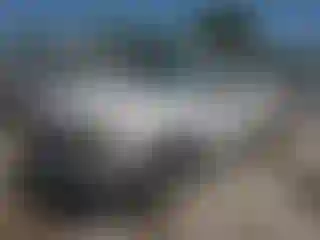 Vehicle Image- 2003 Chevrolet Silverado