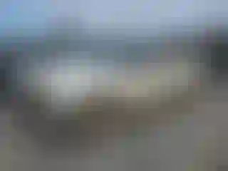 Vehicle Image- 2006 Chevrolet Silverado