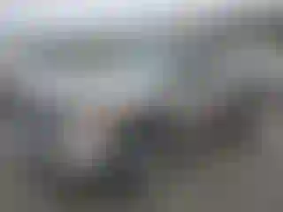 Vehicle Image- 2008 Chevrolet Silverado