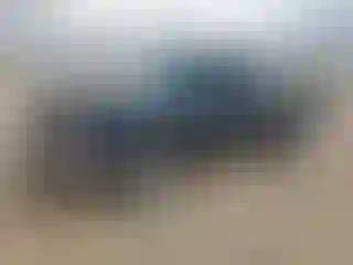 Vehicle Image- 2006 Chevrolet Silverado