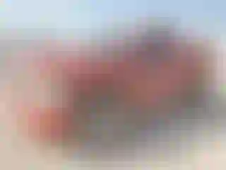 Vehicle Image- 2008 Chevrolet Silverado