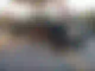 Vehicle Image- 2008 Chevrolet Silverado