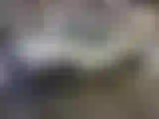 Vehicle Image- 2004 Chevrolet Silverado