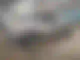 Vehicle Image- 2005 Chevrolet Silverado