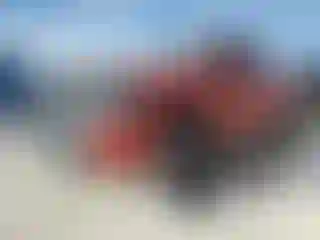 Vehicle Image- 2008 Chevrolet Silverado