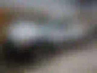 Vehicle Image- 2007 Chevrolet Silverado