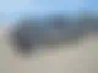 Vehicle Image- 2001 Chevrolet Silverado