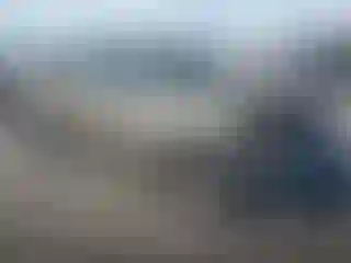 Vehicle Image- 2006 Chevrolet Silverado