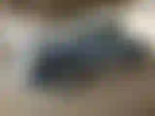 Vehicle Image- 2006 Chevrolet Silverado