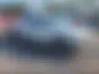 Vehicle Image- 2004 Chevrolet Silverado