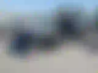 Vehicle Image- 2001 Chevrolet Silverado