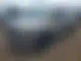 Vehicle Image- 2005 Chevrolet Silverado