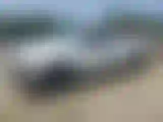 Vehicle Image- 2007 Chevrolet Silverado