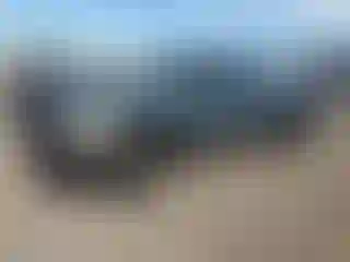 Vehicle Image- 2009 Chevrolet Silverado