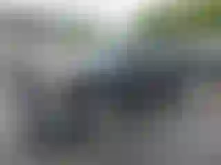Vehicle Image- 2004 Chevrolet Silverado