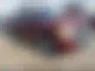 Vehicle Image- 2009 Chevrolet Silverado