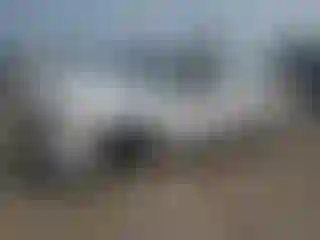 Vehicle Image- 2008 Chevrolet Silverado