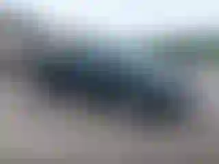 Vehicle Image- 2002 Chevrolet Silverado