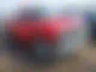 Vehicle Image- 2004 Chevrolet Silverado