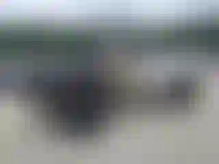 Vehicle Image- 1999 Chevrolet Silverado