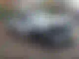 Vehicle Image- 2007 Chevrolet Silverado