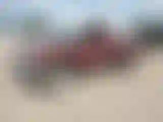 Vehicle Image- 2000 Chevrolet Silverado