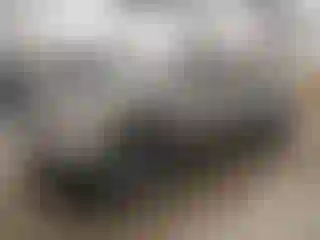 Vehicle Image- 2006 Chevrolet Silverado