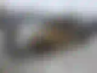 Vehicle Image- 2003 Chevrolet Silverado
