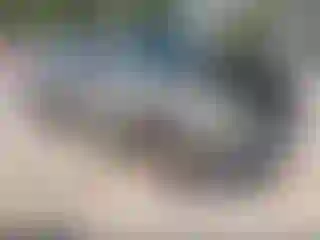 Vehicle Image- 2001 Chevrolet Silverado