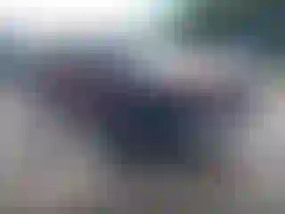 Vehicle Image- 2004 Chevrolet Silverado