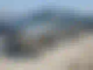 Vehicle Image- 2000 Chevrolet Silverado