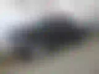 Vehicle Image- 2001 Chevrolet Silverado