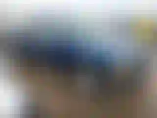 Vehicle Image- 2001 Chevrolet Silverado