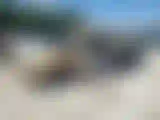 Vehicle Image- 2002 Chevrolet Silverado