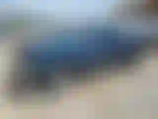 Vehicle Image- 2002 Chevrolet Silverado