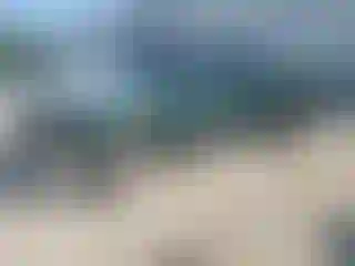 Vehicle Image- 2004 Chevrolet Silverado