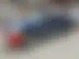 Vehicle Image- 2009 Chevrolet Silverado