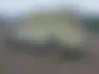 IMPORTOWO.pl