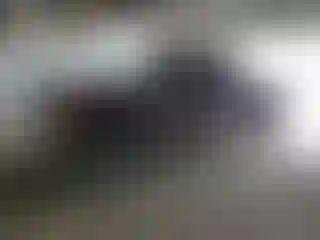 Vehicle Image- 2003 Chevrolet Silverado