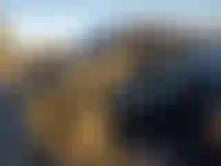 Vehicle Image- 2005 Chevrolet Silverado