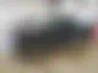 Vehicle Image- 2005 Chevrolet Silverado
