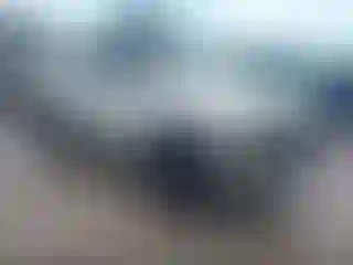 Vehicle Image- 2006 Chevrolet Silverado
