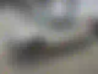 Vehicle Image- 2004 Chevrolet Silverado