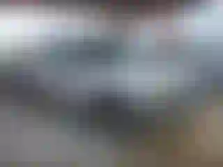 Vehicle Image- 2004 Chevrolet Silverado