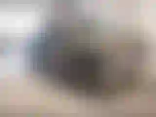 Vehicle Image- 1999 Chevrolet Silverado