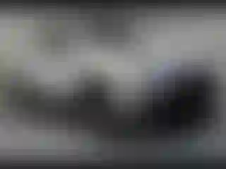 Vehicle Image- 2021 Chevrolet Colorado