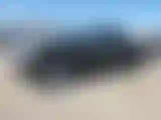 Vehicle Image- 2022 Chevrolet Colorado