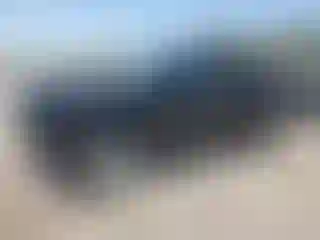 Vehicle Image- 2021 Chevrolet Colorado