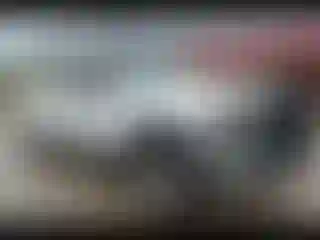 Vehicle Image- 2007 Chevrolet Silverado